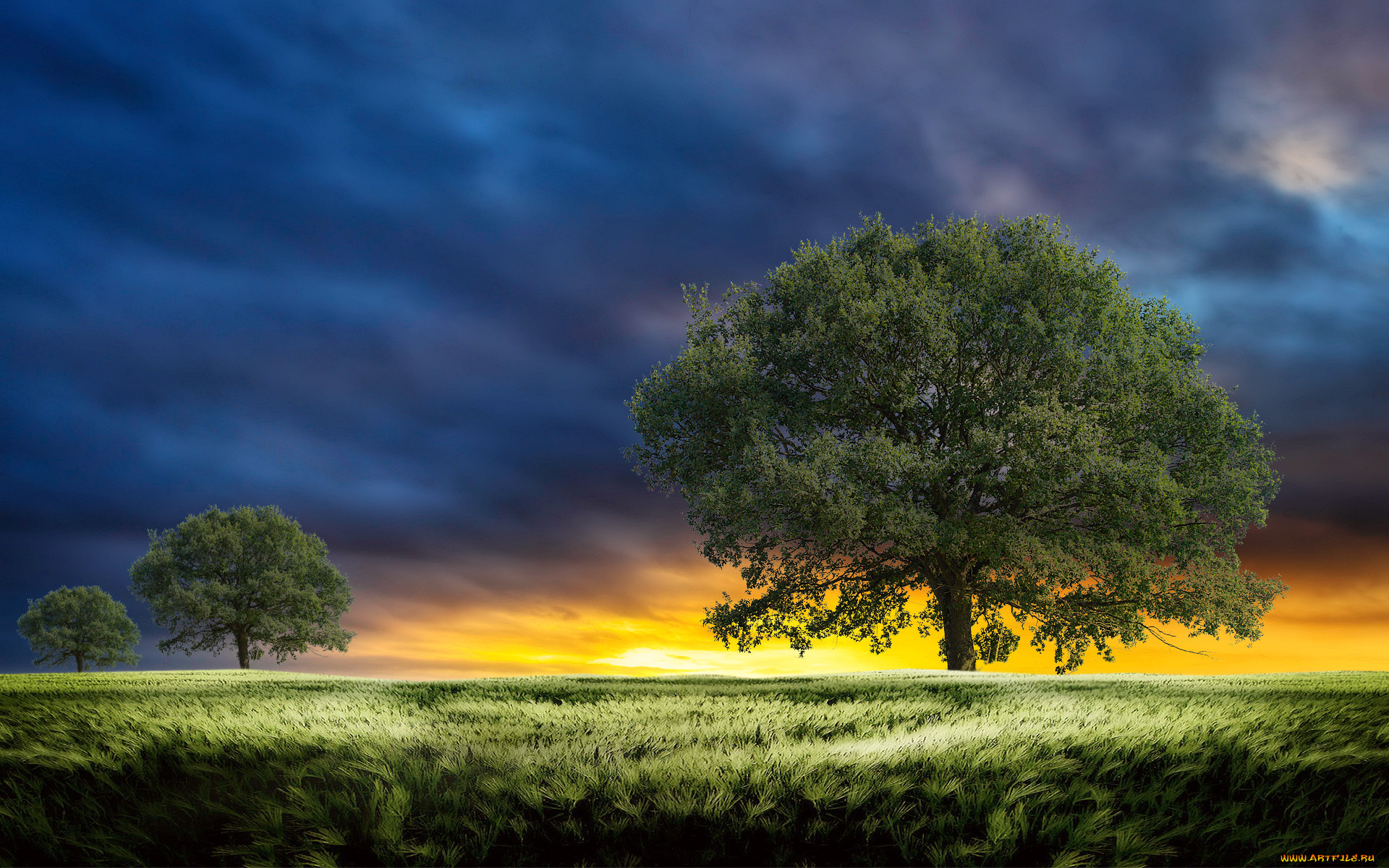3, , nature, landscape, , , , , 